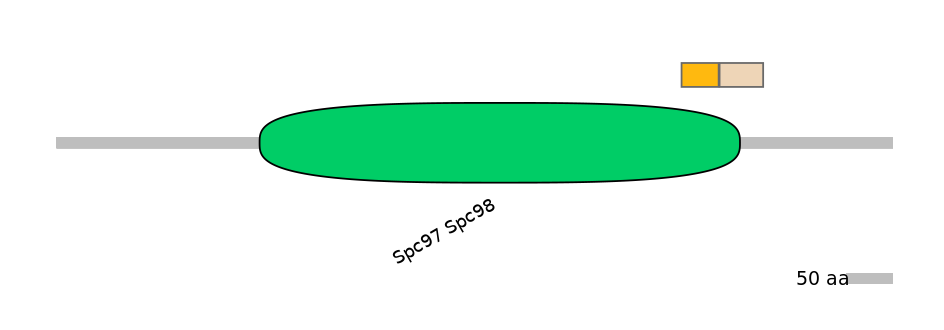 HsaINT0175390-EXC
