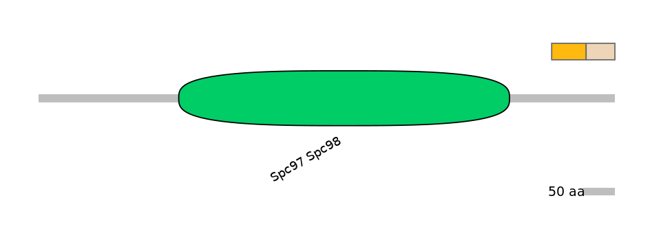 HsaINT0175393-EXC