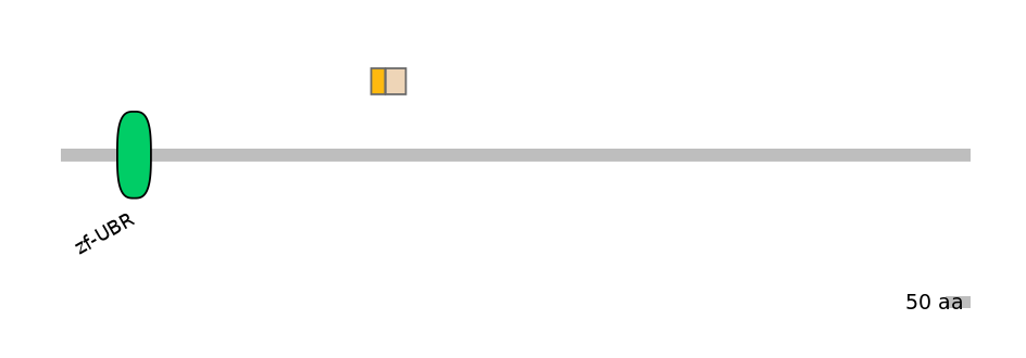 HsaINT0176807-EXC