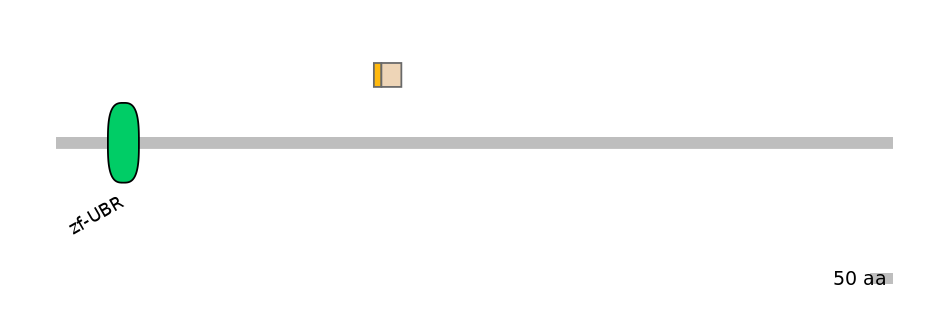 HsaINT0176809-EXC