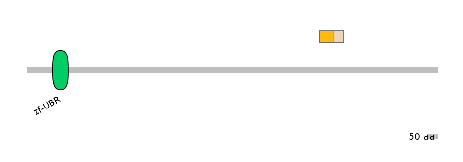 HsaINT0176823-EXC