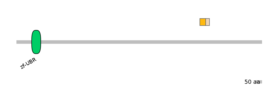 HsaINT0176824-EXC