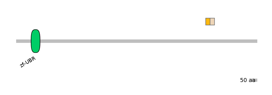 HsaINT0176827-EXC