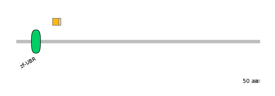 HsaINT0176835-EXC