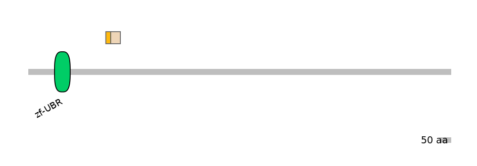 HsaINT0176837-EXC