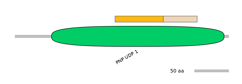 HsaINT0178176-EXC