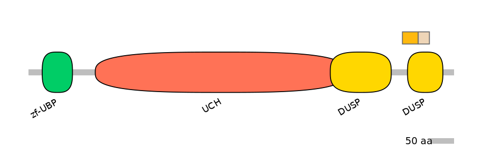 HsaINT0178687-EXC
