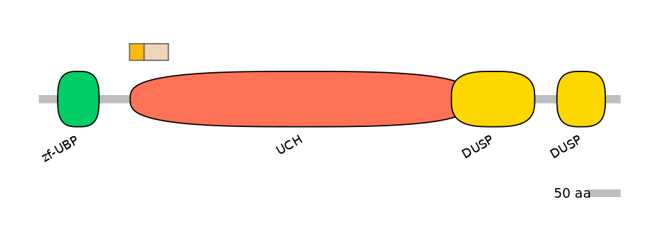 HsaINT0178695-EXC