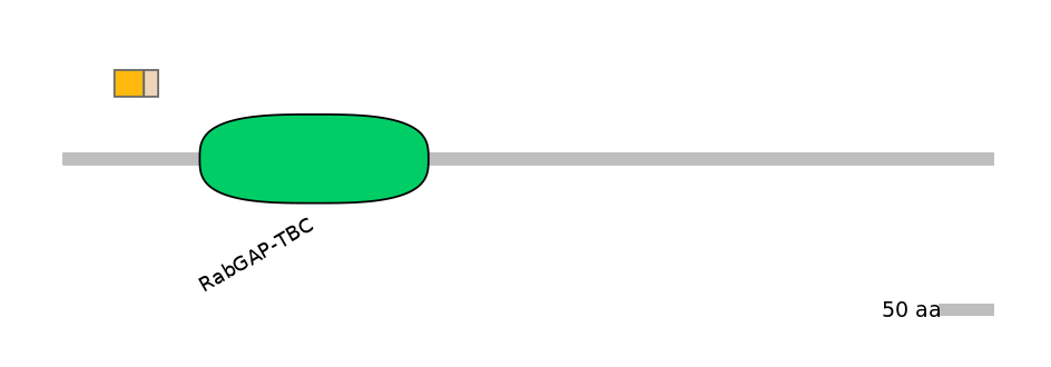 HsaINT0179353-EXC