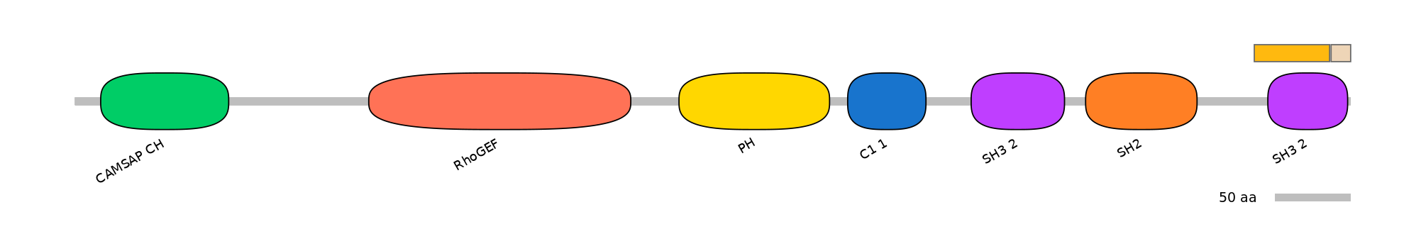 HsaINT0179972-EXC