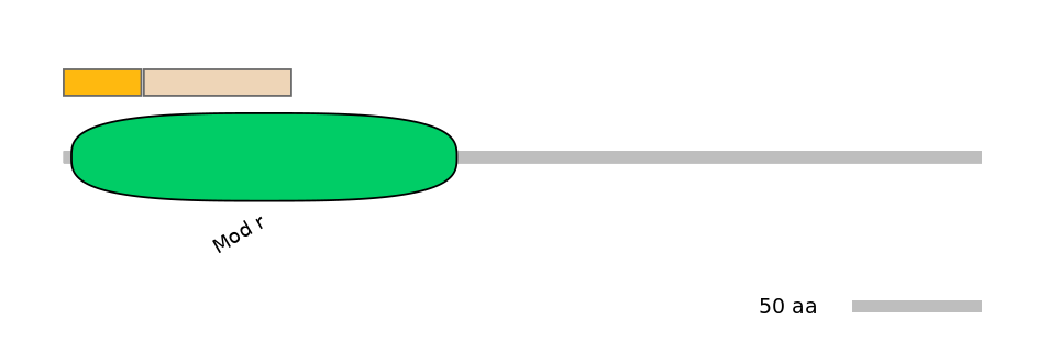 HsaINT0180819-EXC