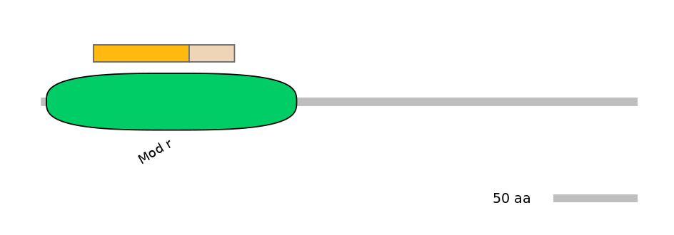HsaINT0180820-EXC