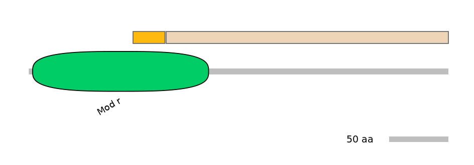 HsaINT0180821-EXC