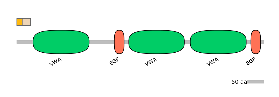 HsaINT0181153-EXC