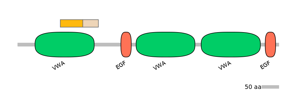 HsaINT0181157-EXC
