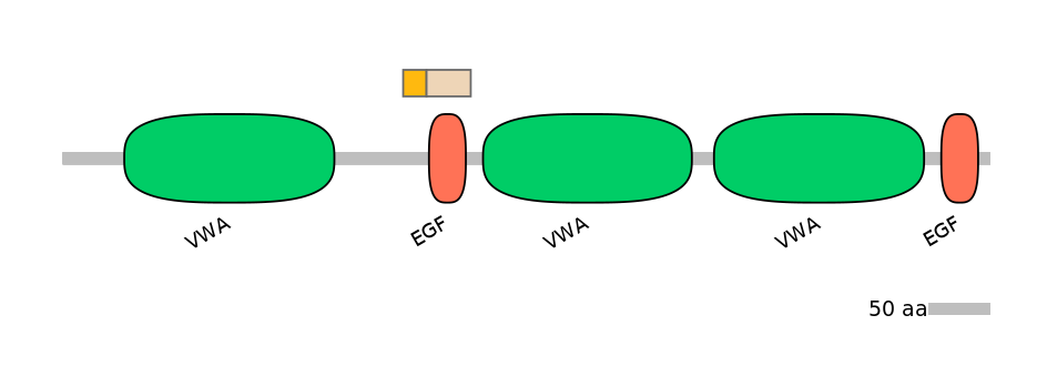 HsaINT0181160-EXC