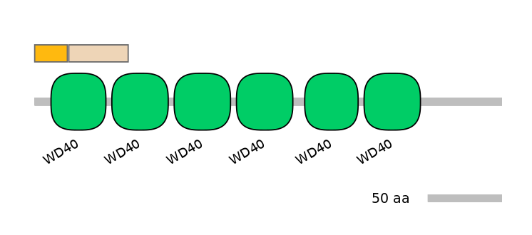 HsaINT0182091-EXC