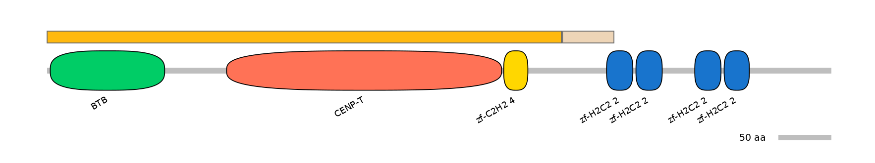 HsaINT0184663-EXC