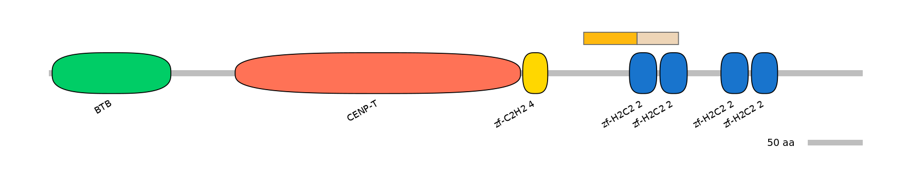 HsaINT0184664-EXC