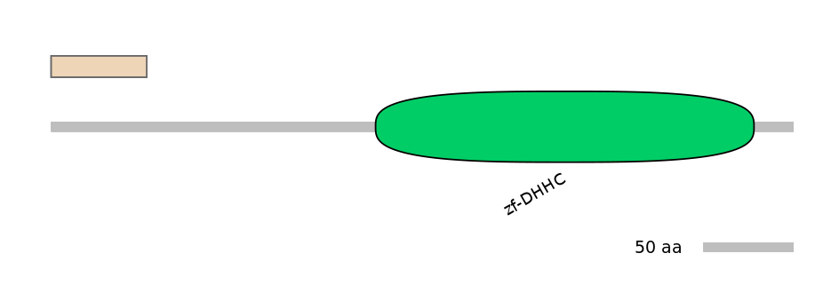 HsaINT0185238-INC
