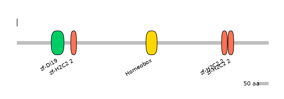 HsaINT0185317-INC