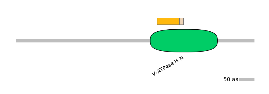 HsaINT0185349-EXC