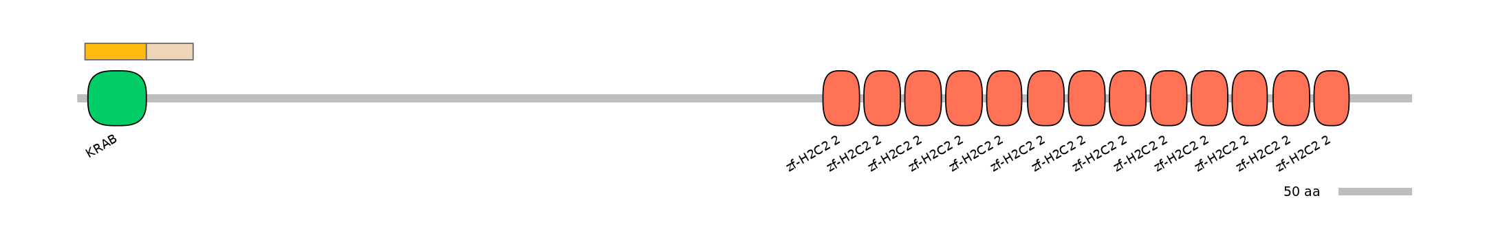 HsaINT0185493-EXC