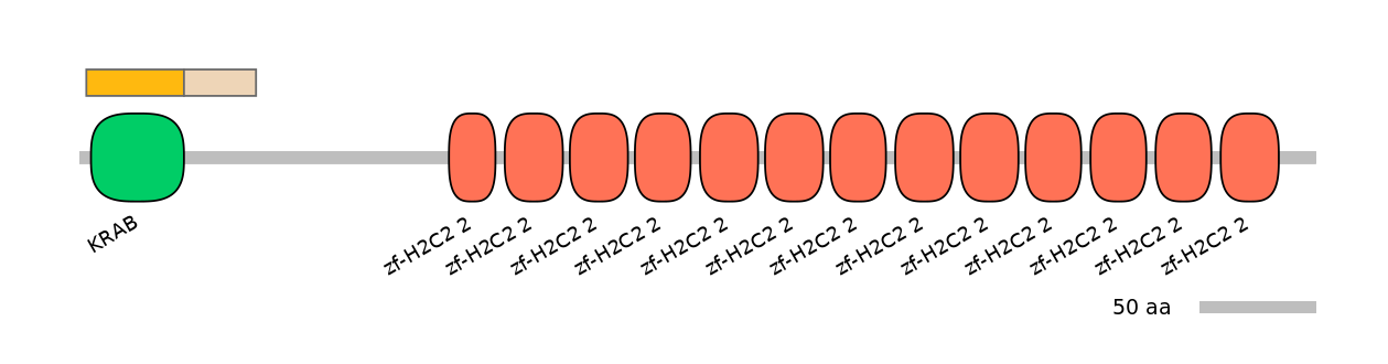 HsaINT0185547-EXC
