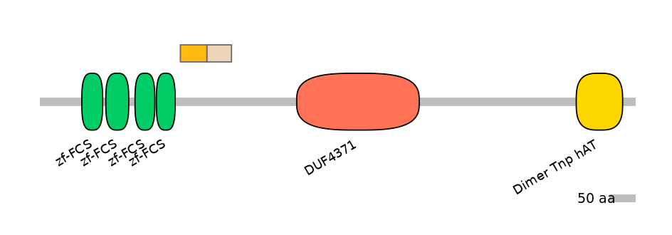 HsaINT0185969-EXC