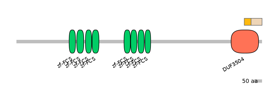 HsaINT0186043-EXC
