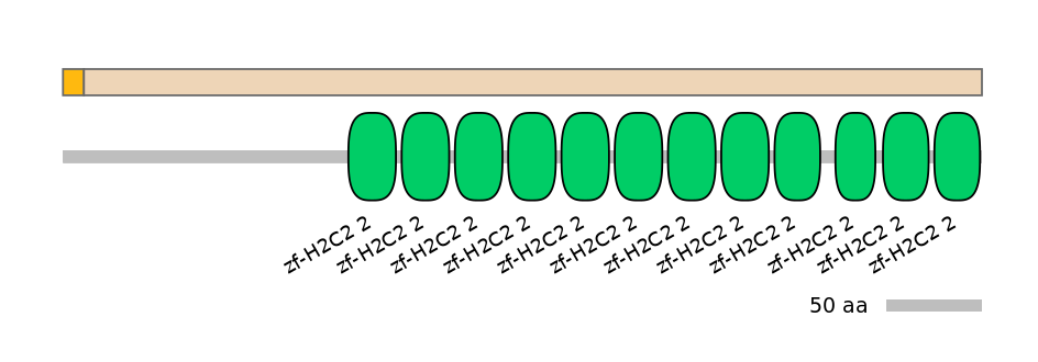 HsaINT0186173-EXC