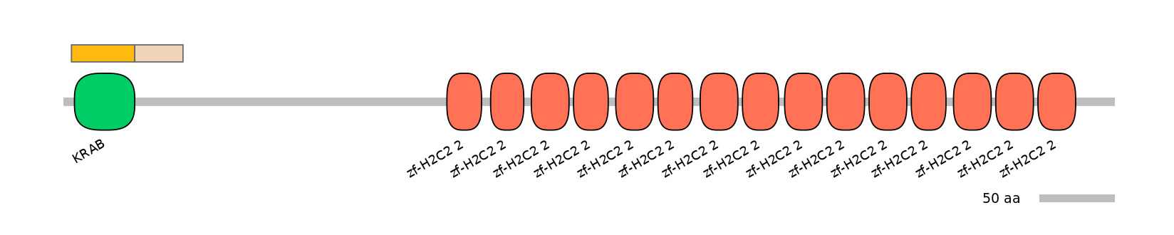 HsaINT0186177-EXC