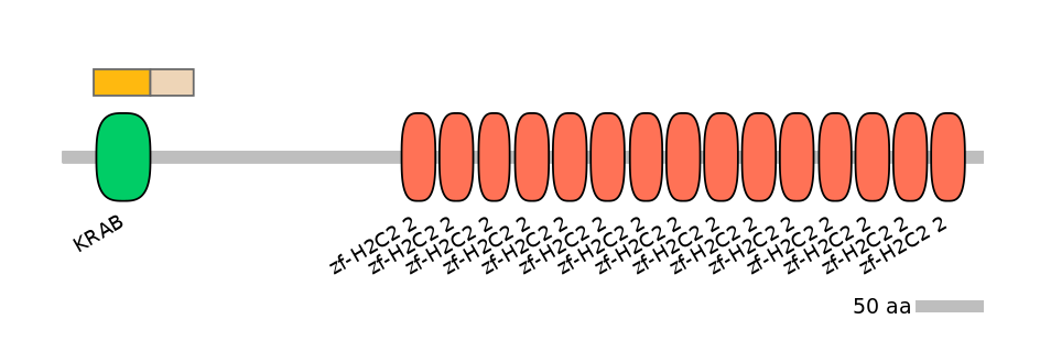 HsaINT0186202-EXC