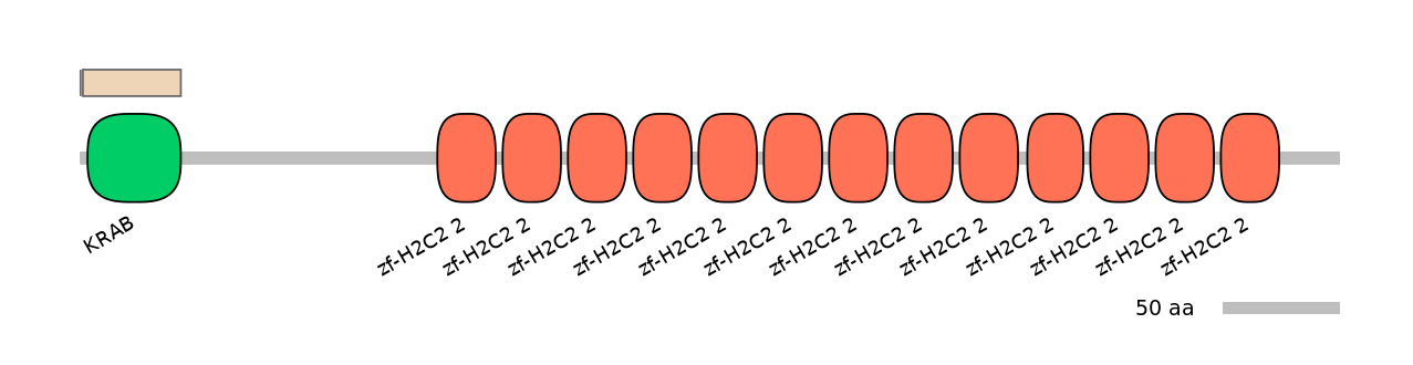 HsaINT0186206-EXC