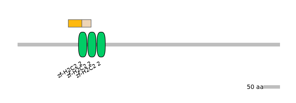 HsaINT0186261-EXC