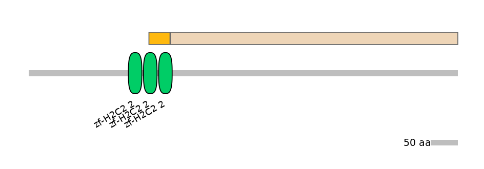 HsaINT0186263-EXC
