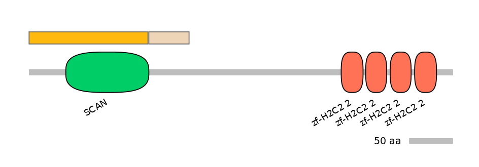 HsaINT0186285-EXC