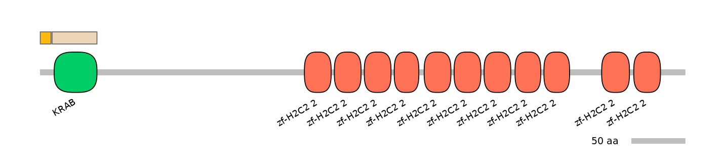 HsaINT0186294-EXC