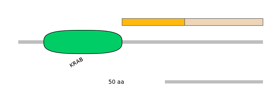 HsaINT0186296-EXC