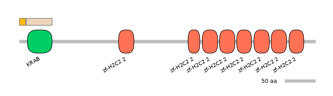HsaINT0186317-EXC