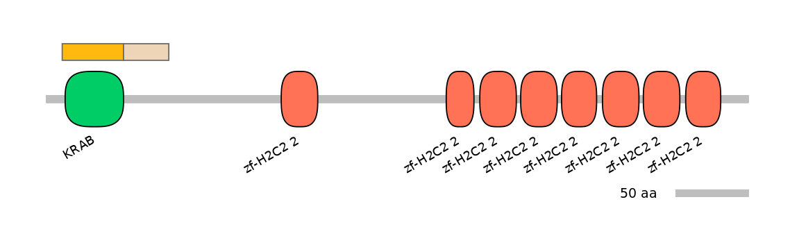 HsaINT0186318-EXC
