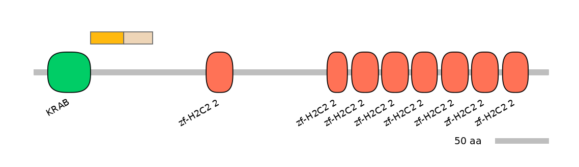 HsaINT0186319-EXC