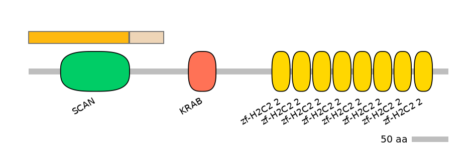 HsaINT0186383-EXC