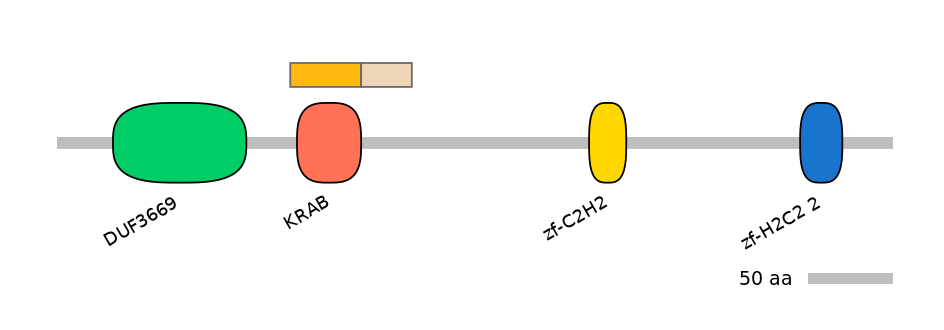 HsaINT0186450-EXC