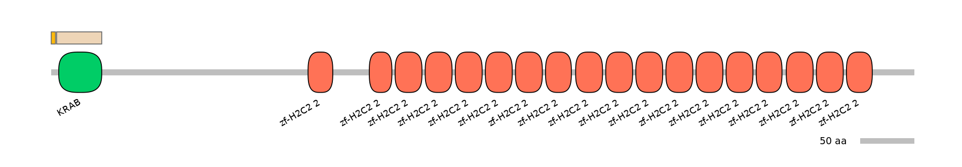 HsaINT0186499-EXC