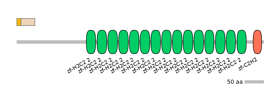HsaINT0186517-EXC