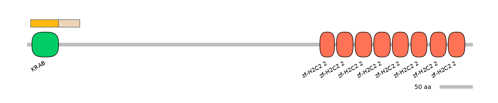 HsaINT0186529-EXC