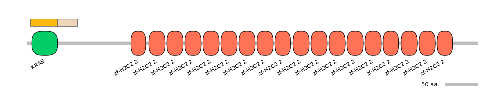 HsaINT0186533-EXC