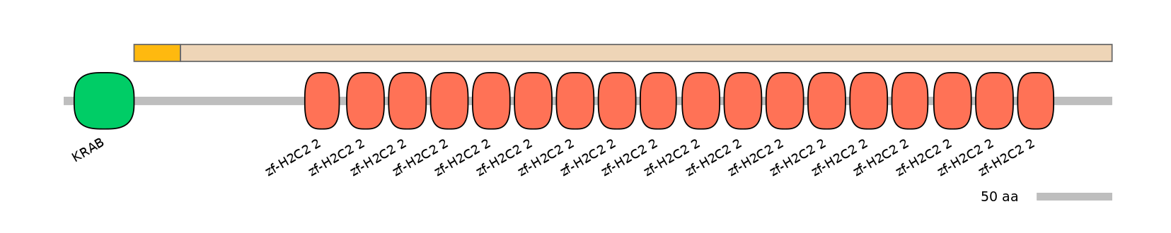 HsaINT0186534-EXC