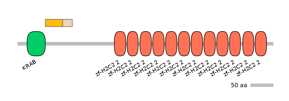 HsaINT0186589-EXC